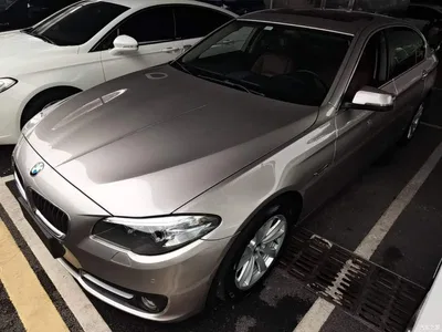 2014 BMW 5 Series 520Li Elegance, фото 1, лот 11203281