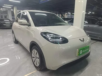 2024 Wuling Motors Wuling Bingo 203km Lite Edition, фото 4, лот 10348955