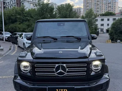 2020 Mercedes-Benz G-Class G 350, фото 2, лот 11007828