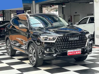 2023 Haval H6 National Trend Edition 1.5T Automatic Champion, фото 3, лот 10307469