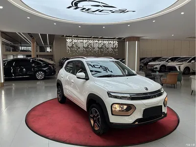 2022 Dongfeng Yipai Nano BOX Wind Chaser Edition 351KM Advanced, фото 3, лот 11592674