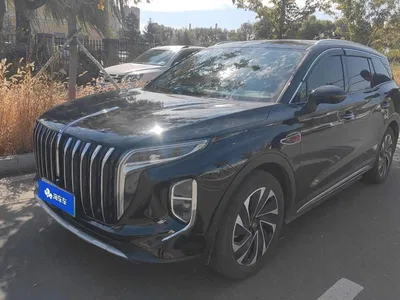 2024 Hongqi HS7 PHEV 2.0T PHEV 4WD Flagship Edition 6-seater, фото 1, лот 10632749