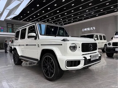 2024 Mercedes-Benz G-Class, фото 3, лот 10295848