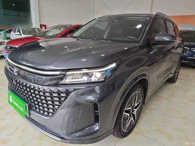 2024 Landian E5 Glory Edition 100KM Ultimate Type 7-Seater, фото 2, лот 11649029