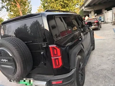 2023 Byd Leopard 5 Explorer Edition, фото 2, лот 10828766