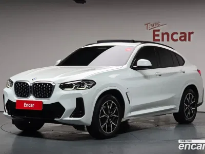 2023 BMW X4 xDrive20i M Sport, фото 1, лот 10134656