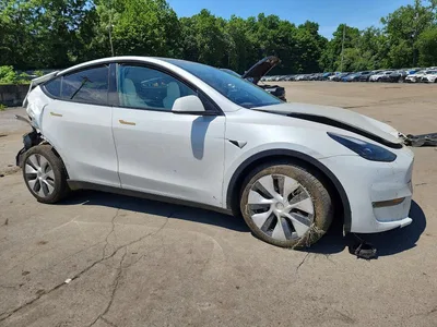 2023 TESLA MODEL Y, фото 4, лот 10852160