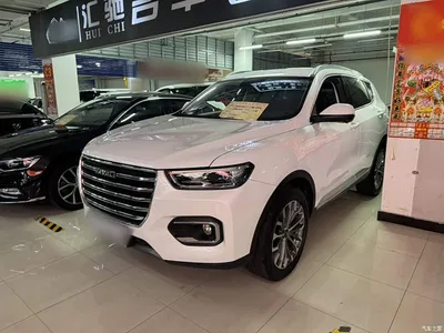 2020 Haval H6 1.5GDIT Automatic Platinum Champion Edition, фото 3, лот 10286508