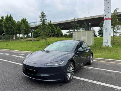 2025 Tesla Model 3 Model Rear-Wheel Drive Edition, фото 3, лот 10354007