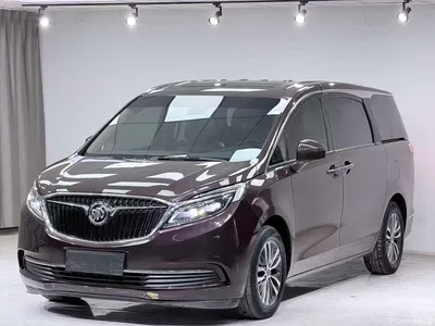 2017 Buick GL8 ES 28T Luxury China V, фото 1, лот 10246261