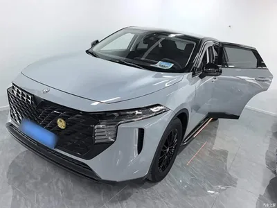 2021 Venucia Big V 260T Idol Edition, фото 1, лот 11144497