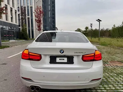 2018 BMW 3 Series 320Li Fashion Style, фото 4, лот 11247791