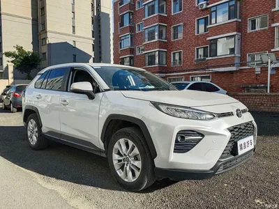 2022 Toyota Wildlander 2.0L CVT FWD Leading Edition, фото 3, лот 10279932