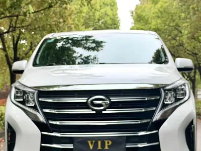 2023 GAC Trumpchi Trumpchi M8 Leading Series 390T Prestige Edition, фото 2, лот 10612684