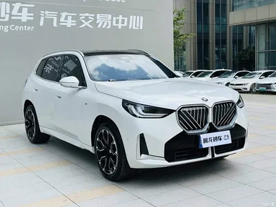 2025 BMW X3 xDrive30L Leading M Sport Package, фото 3, лот 11243351