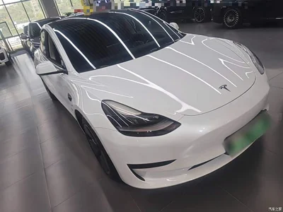 2022 Tesla Model 3 Model Rear-Wheel Drive Version, фото 4, лот 10369908