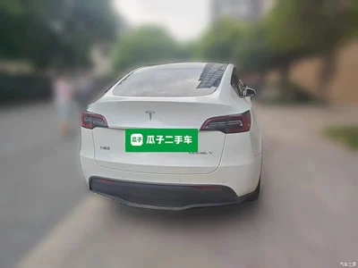 2022 Tesla Model Y Rear-Wheel Drive Version, фото 4, лот 10693614