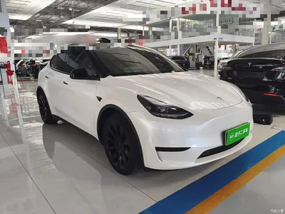 2022 Tesla Model Y Facelift Rear-Wheel Drive Version, фото 4, лот 10369560