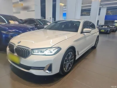 2022 BMW 5 Series Facelift 530Li Leading Luxury Package, фото 1, лот 11562575