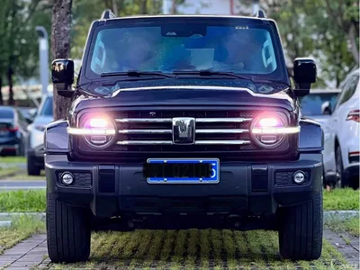 2024 Tank 300 2.0T Explorer, фото 2, лот 10344909