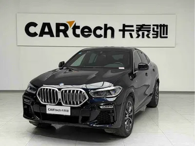 2020 BMW X6 xDrive40i M Sport Package, фото 1, лот 10469056