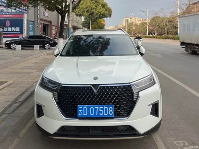 2020 Venucia Star 260T Automatic 48V Mild Hybrid Turbo Star Enjoy Edition, фото 2, лот 11168230