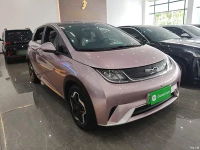 2021 BYD Dolphin Model 405km Fashion Edition, фото 4, лот 10263983
