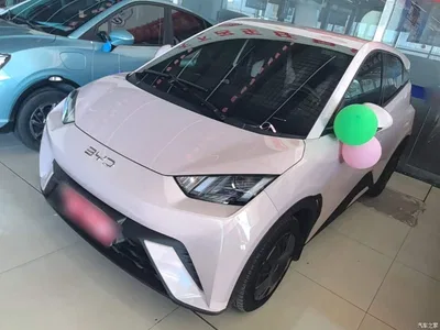 2024 BYD Seagull Glory Edition 305km Vitality Edition, фото 2, лот 10260034