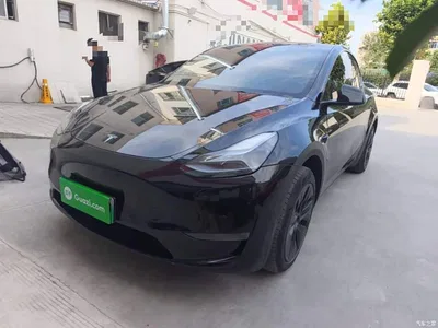 2023 Tesla Model Y Long Range All-Wheel Drive Edition, фото 1, лот 10369992