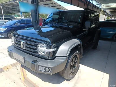 2021 Tank 300 Off-road Version 2.0T Conqueror, фото 1, лот 10345329