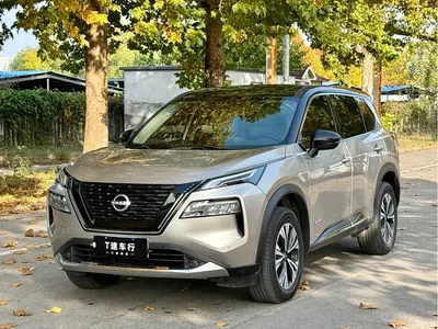 2023 Nissan X-Trail e-POWER Super Hybrid Dual Motor AWD Luxury Edition, фото 1, лот 10362174
