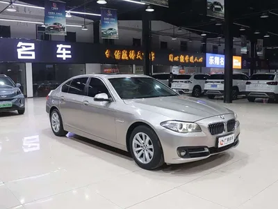 2014 BMW 5 Series 520Li Elegance, фото 1, лот 10445989