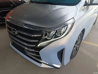 2023 GAC Trumpchi Trumpchi M8 Leading Series 390T Premium Edition, фото 3, лот 10422384
