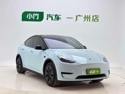 2024 Tesla Model Y Rear-Wheel Drive Version, фото 2, лот 11216471