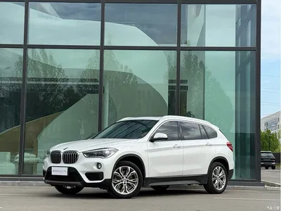 2019 BMW X1 sDrive20Li Leading Model, фото 1, лот 10465469