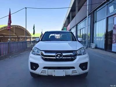 2020 Great Wall Fengjun 5 2.4L Petrol 2WD Elite Double Cab China VI 4K22D4M, фото 2, лот 11172363