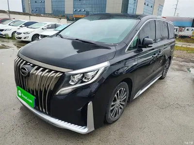 2021 GAC Trumpchi Trumpchi M8 Master Series 390T Prestige Edition, фото 1, лот 10425113