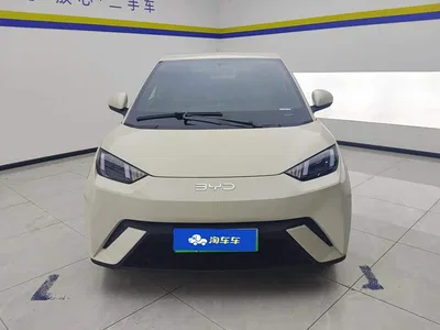 2024 BYD Seagull Glory Edition 305km Vitality Edition, фото 2, лот 10250396