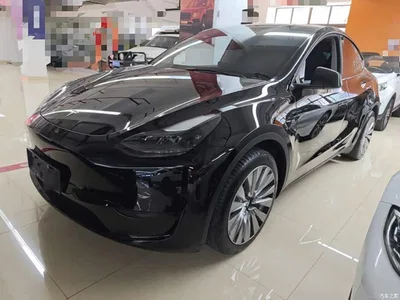 2022 Tesla Model Y Rear-Wheel Drive Version, фото 1, лот 10369916