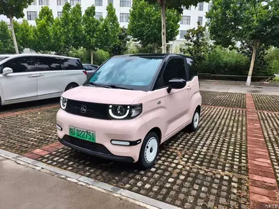 2024 QQ New Energy QQ Ice Cream Youth Edition 205km Milkshake, фото 1, лот 10449035