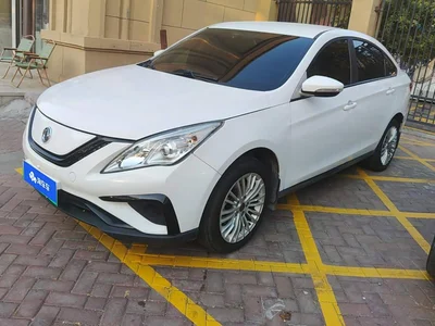 2021 Dongfeng Fengxing S50EV Luxury Model, фото 1, лот 11201889