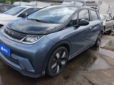 2023 BYD Dolphin 401km Knight Edition, фото 1, лот 10251202
