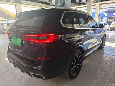 2019 BMW X5 (Import) xDrive40i M Sport Package, фото 3, лот 11585273