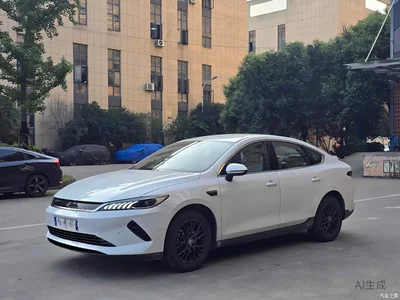 2025 BYD Qin PLUS EV Smart Drive Edition 510KM Leading Type, фото 1, лот 10363376