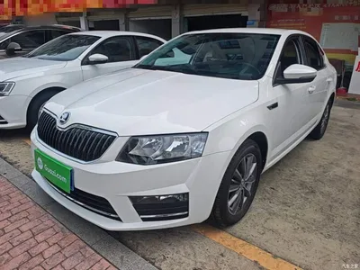 2017 Škoda Octavia 1.6L Automatic Pioneer Edition, фото 2, лот 10348104