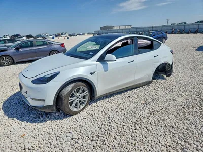 2024 TESLA MODEL Y, фото 1, лот 10856140