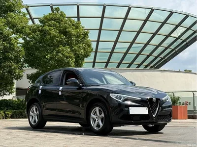 2017 Alfa Romeo Stelvio 2.0T 200HP Luxury Edition, фото 3, лот 10239826