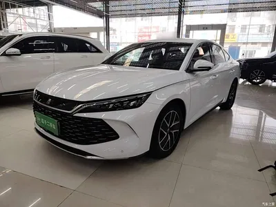 2024 BYD Qin L DM-i 80KM Superior, фото 1, лот 10387606