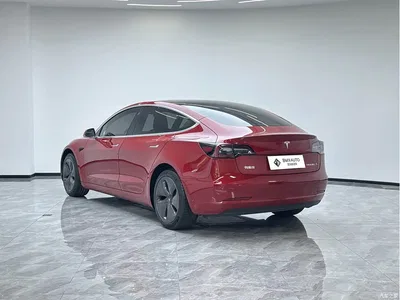 2020 Tesla Model 3 Facelift Long Range Rear-Wheel Drive, фото 4, лот 10357406