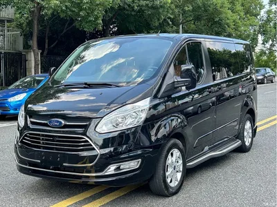 2020 Ford Tourneo 2.0T Auto Elite Edition China VI, фото 1, лот 10361744